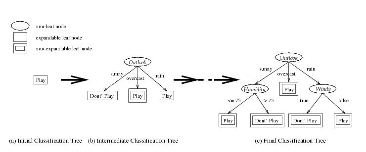 steps in creating the decision tree